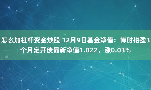 怎么加杠杆资金炒股 12月9日基金净值：博时裕盈3个月定开债最新净值1.022，涨0.03%