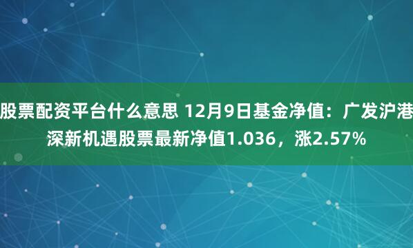 股票配资平台什么意思 12月9日基金净值：广发沪港深新机遇股票最新净值1.036，涨2.57%