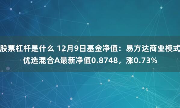 股票杠杆是什么 12月9日基金净值：易方达商业模式优选混合A最新净值0.8748，涨0.73%