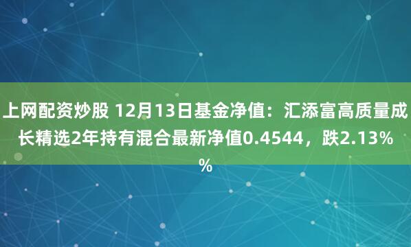 上网配资炒股 12月13日基金净值：汇添富高质量成长精选2年持有混合最新净值0.4544，跌2.13%