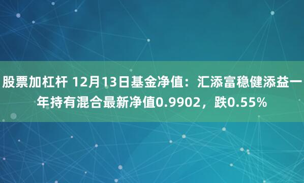 股票加杠杆 12月13日基金净值：汇添富稳健添益一年持有混合最新净值0.9902，跌0.55%