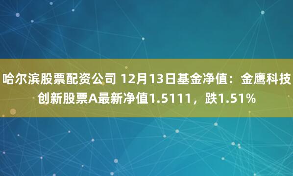 哈尔滨股票配资公司 12月13日基金净值：金鹰科技创新股票A最新净值1.5111，跌1.51%