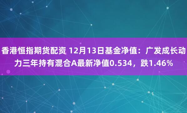 香港恒指期货配资 12月13日基金净值：广发成长动力三年持有混合A最新净值0.534，跌1.46%