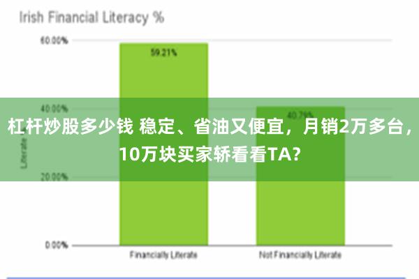 杠杆炒股多少钱 稳定、省油又便宜，月销2万多台，10万块买家轿看看TA？