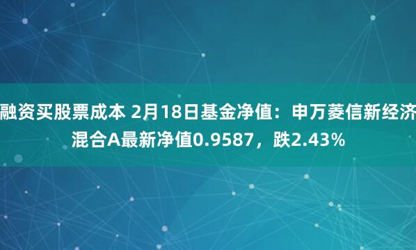 融资买股票成本 2月18日基金净值：申万菱信新经济混合A最新净值0.9587，跌2.43%