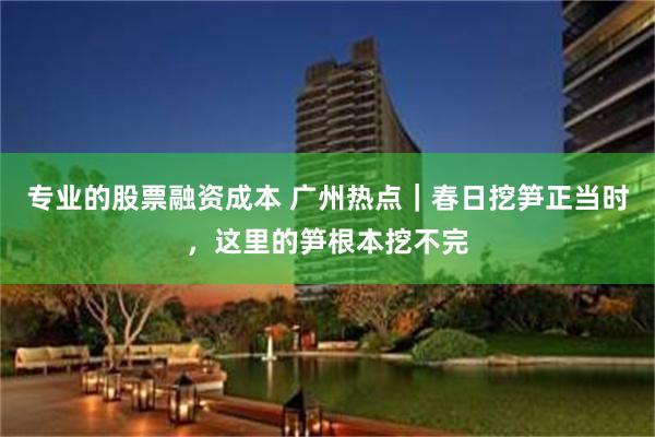 专业的股票融资成本 广州热点|春日挖笋正当时,这里的笋根本挖不完
