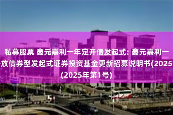私募股票 鑫元嘉利一年定开债发起式: 鑫元嘉利一年定期开放债券型发起式证券投资基金更新招募说明书(2025年第1号)