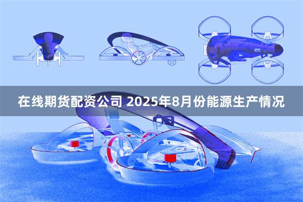 在线期货配资公司 2025年8月份能源生产情况