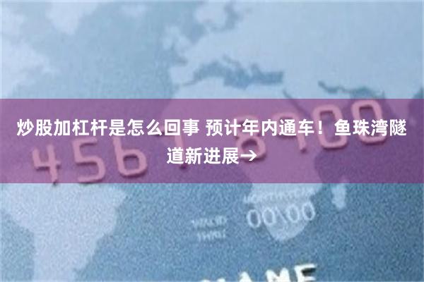 炒股加杠杆是怎么回事 预计年内通车！鱼珠湾隧道新进展→